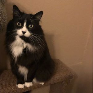 Meet your Posher, Ciera